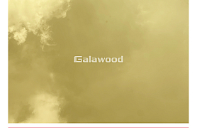 G-895 tấm ốp than tre galawood