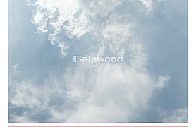 G-986 tấm ốp than tre galawood