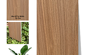 TẤM ỐP THAN TRE IWOOD WG-6