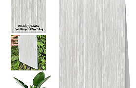 TẤM ỐP THAN TRE IWOOD WG-9