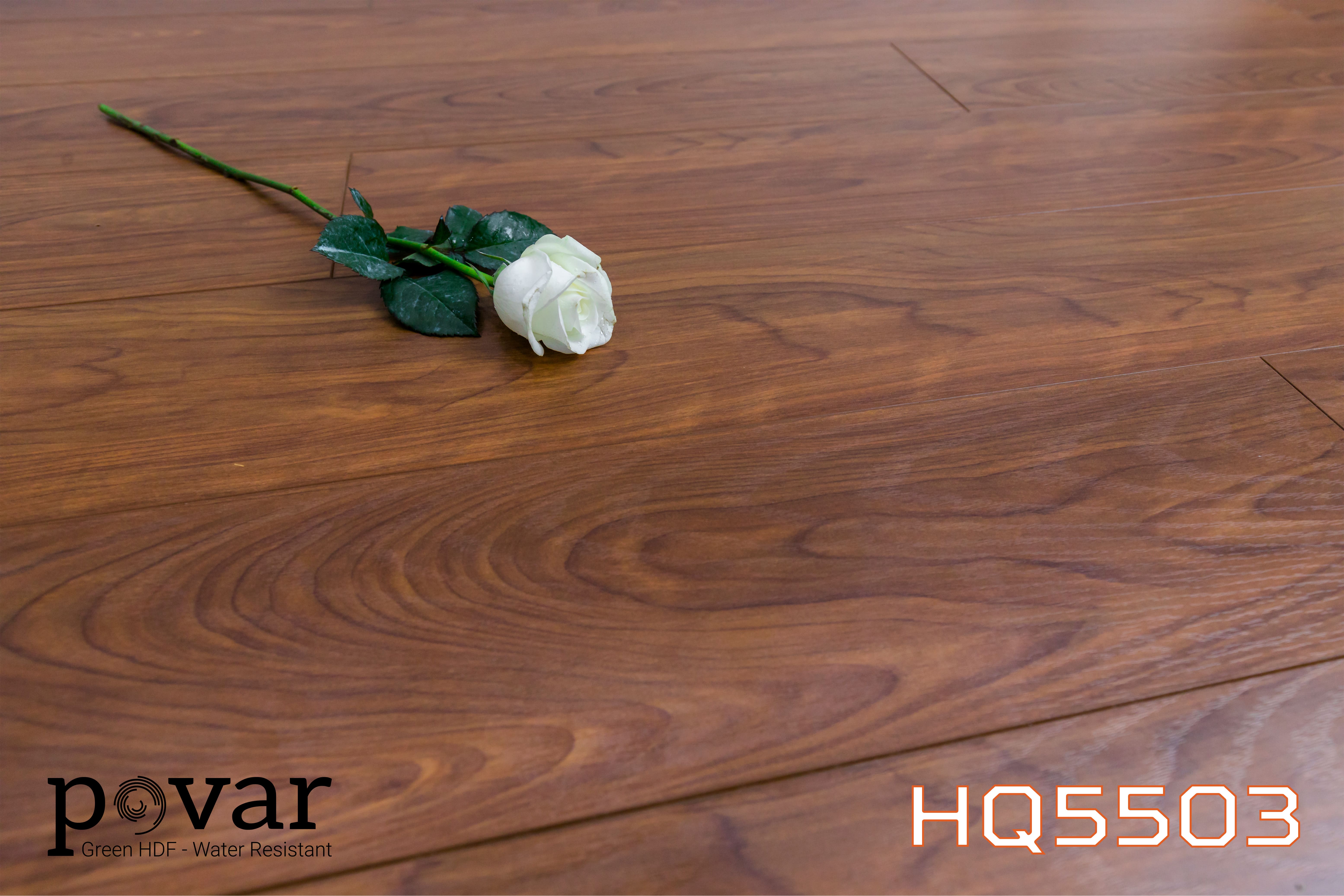 HQ5503  Sàn gỗ Povar