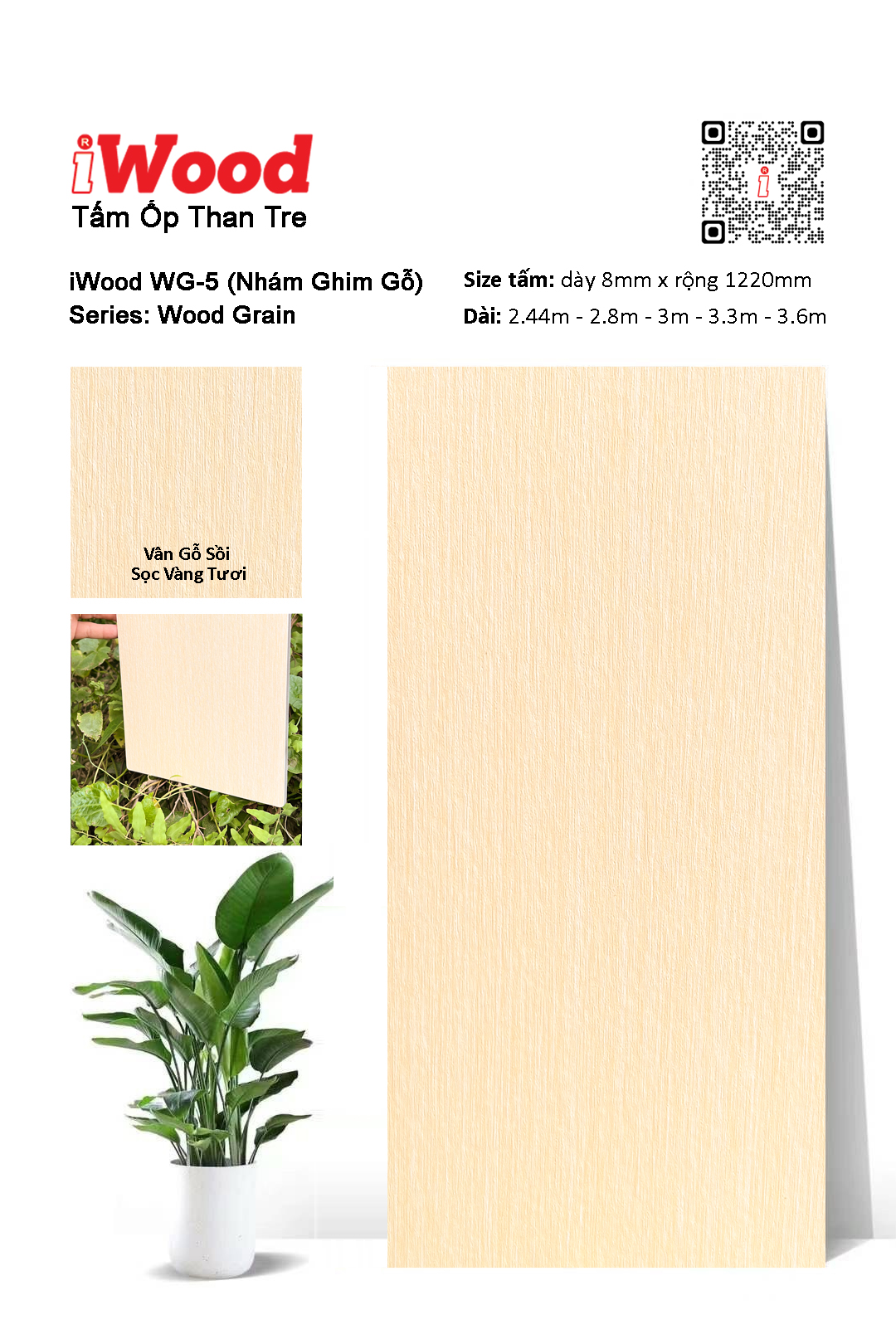 TẤM ỐP THAN TRE IWOOD WG-5