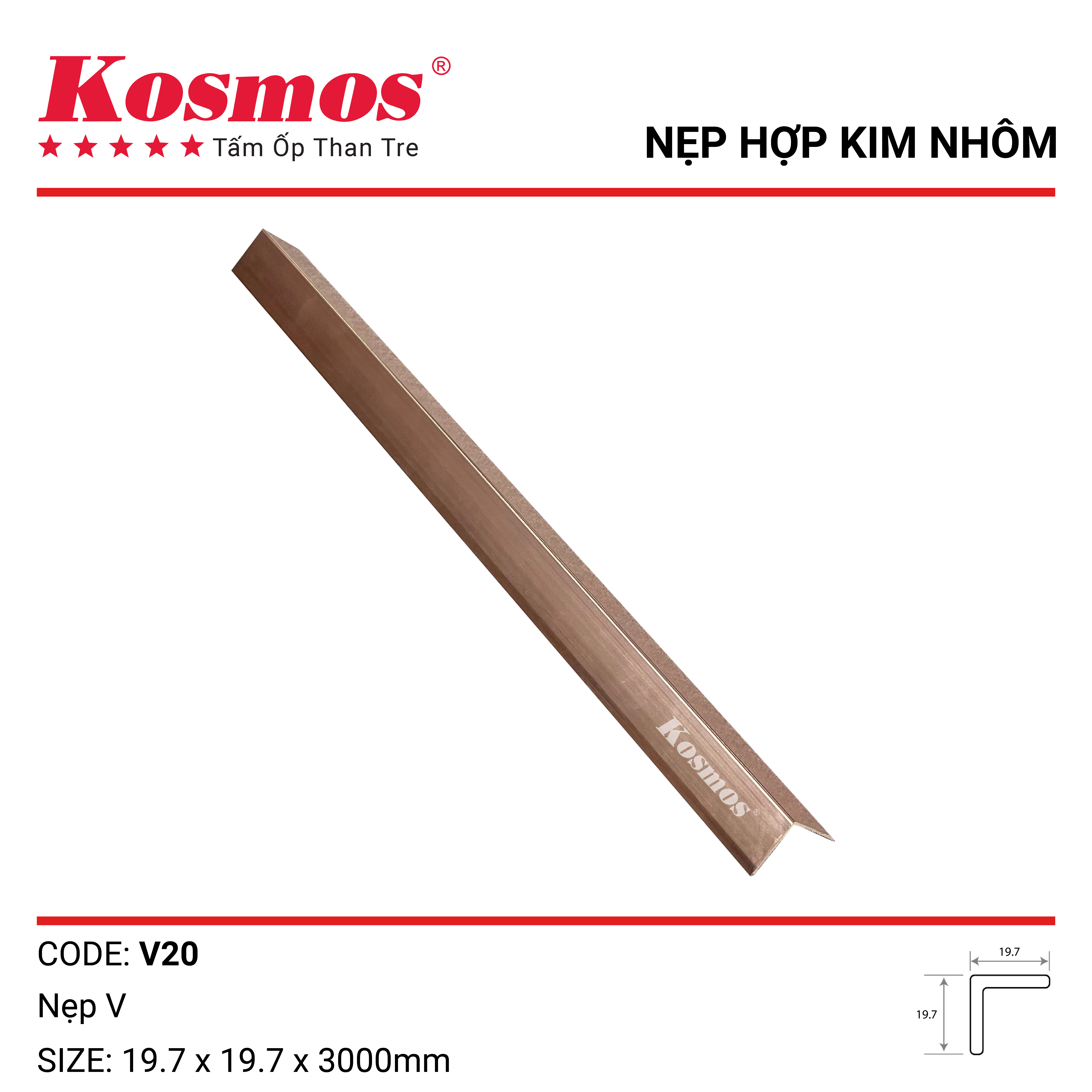 NẸP V - SÂM PANH